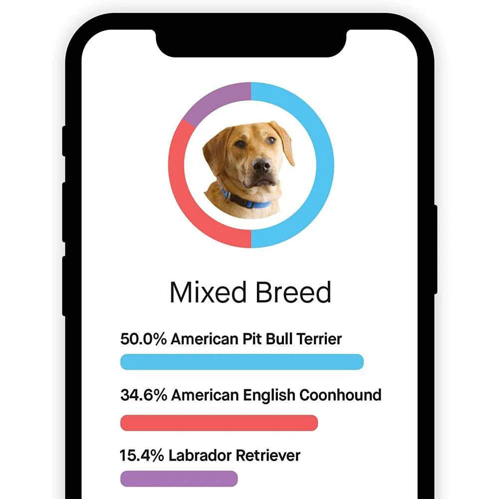 Embark Dog DNA Test, Breed Identification Kit