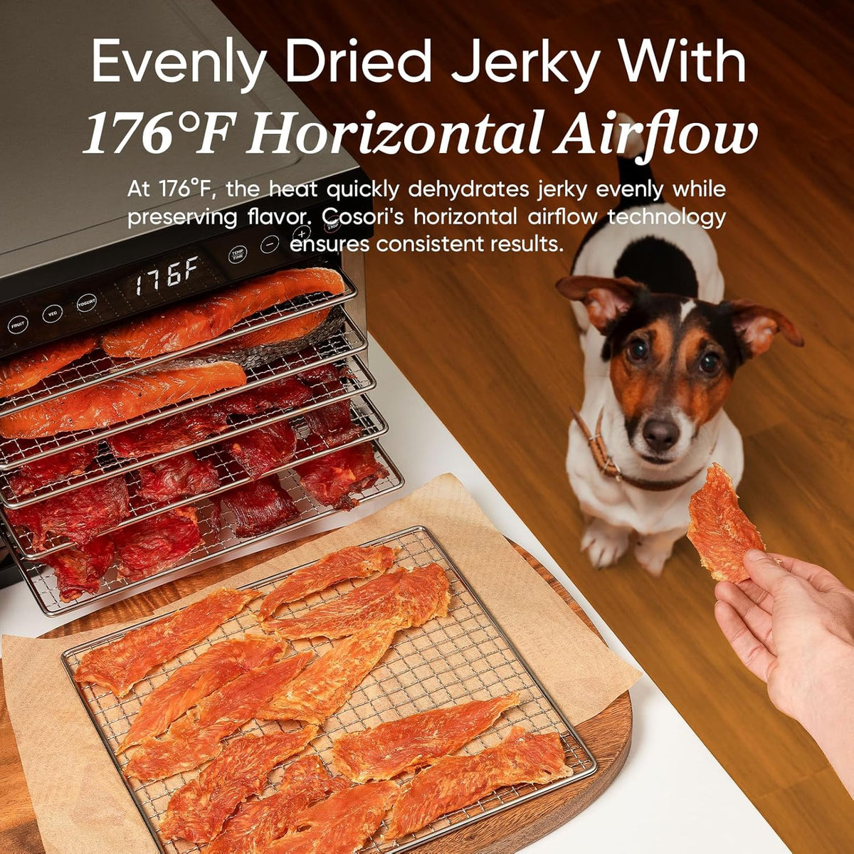 COSORI Food Dehydrator Bigger Than 7 Trays With Large 6.5" Drying Space 600W Power