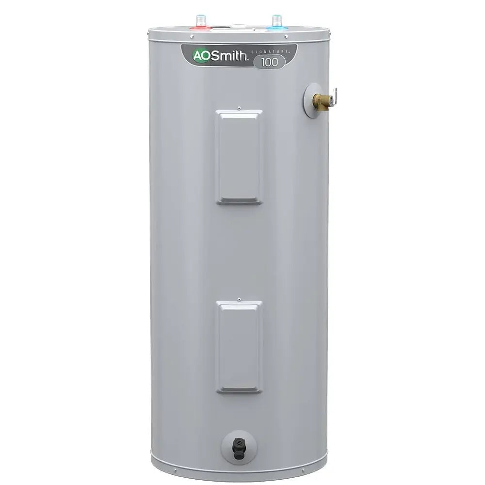 A.O. Smith Signature 100 30-Gallon Tall 6-Year Limited Warranty 4500-Watt Double Element Electric Water Heater | E6-30H45DV